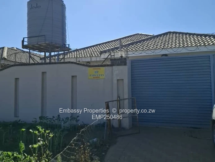 Dream come true